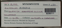 Image Associated With the Occurence
